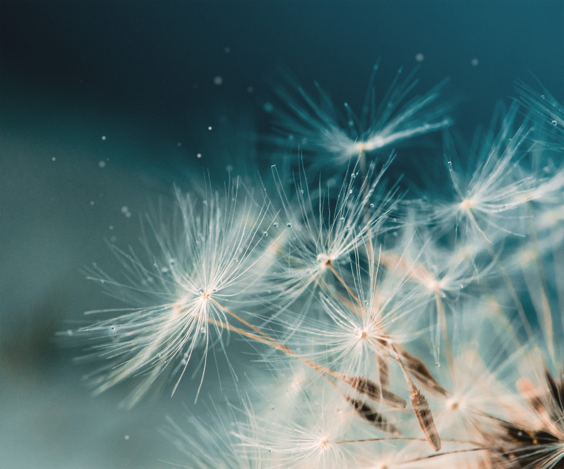 Breathwork Dresden und Atemtherapie